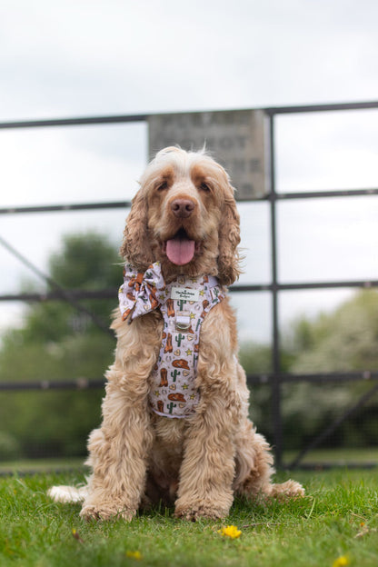 Howdy Pawtner Adventure Paws Harness