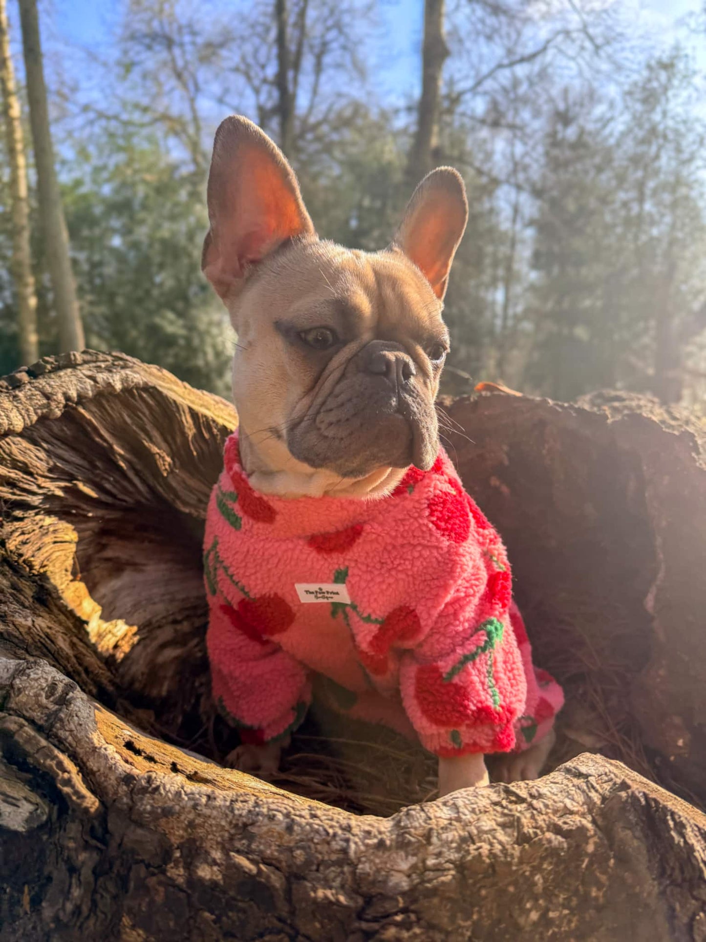 The Cherry Fleece
