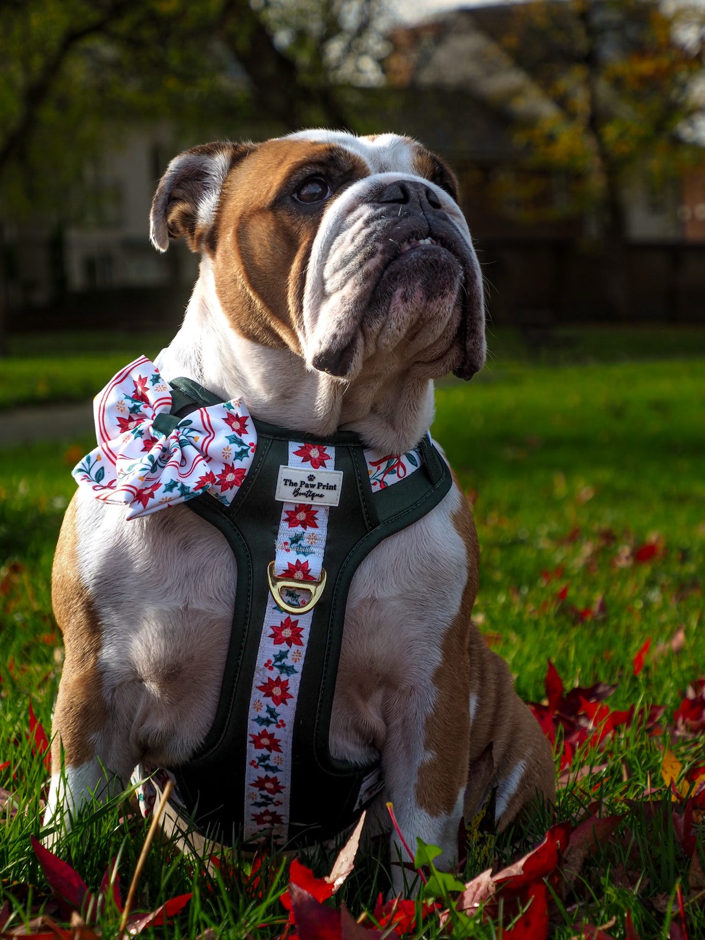 Festive Traditions Bow Tie