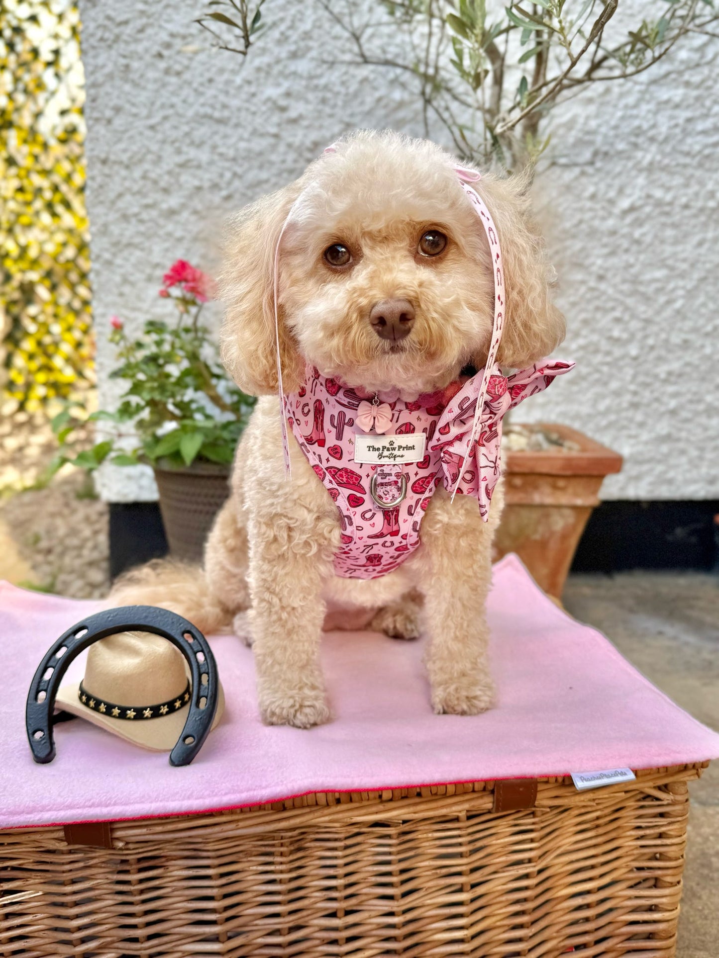 The Giddy up Pup Adjustable Harness
