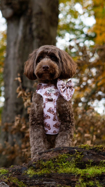 The Little Bear Cub Bow Tie