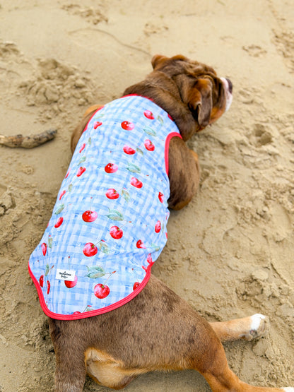 Cherry Gingham Cooling Vest
