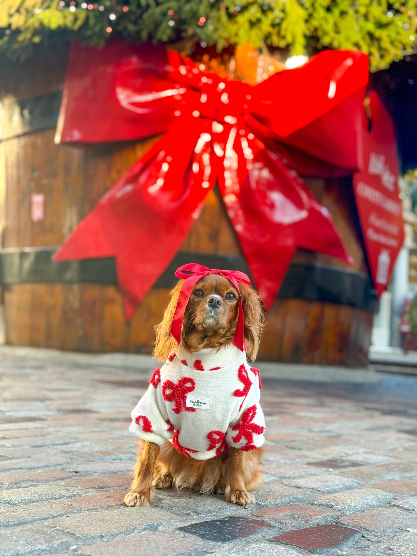 The Red Bow Fleece