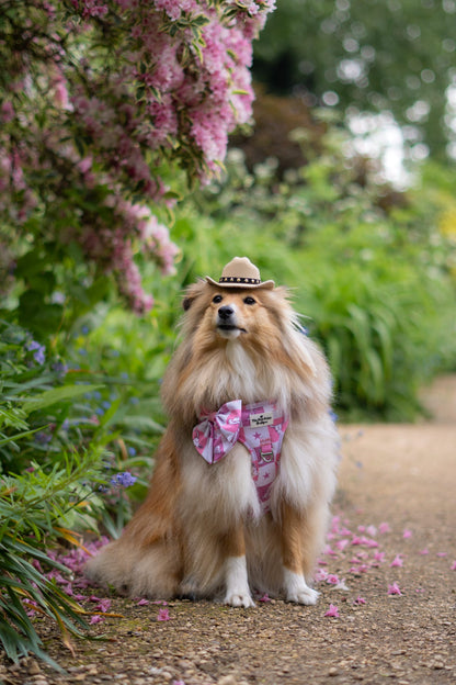 Cowgirl Cutie Adventure Paws Harness