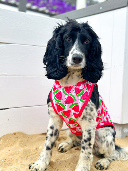 Watermelon Sugar Cooling Vest