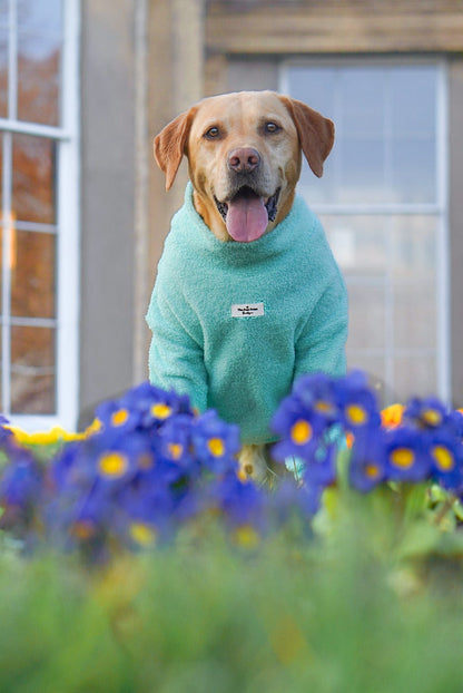 Teddy Fleece - Mint