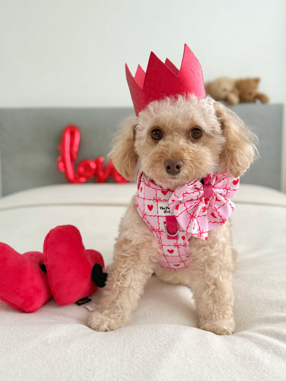 Pink Chequered Hearts Adjustable Harness