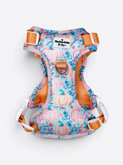 Pablo’s Pumpkins Adventure Paws Harness