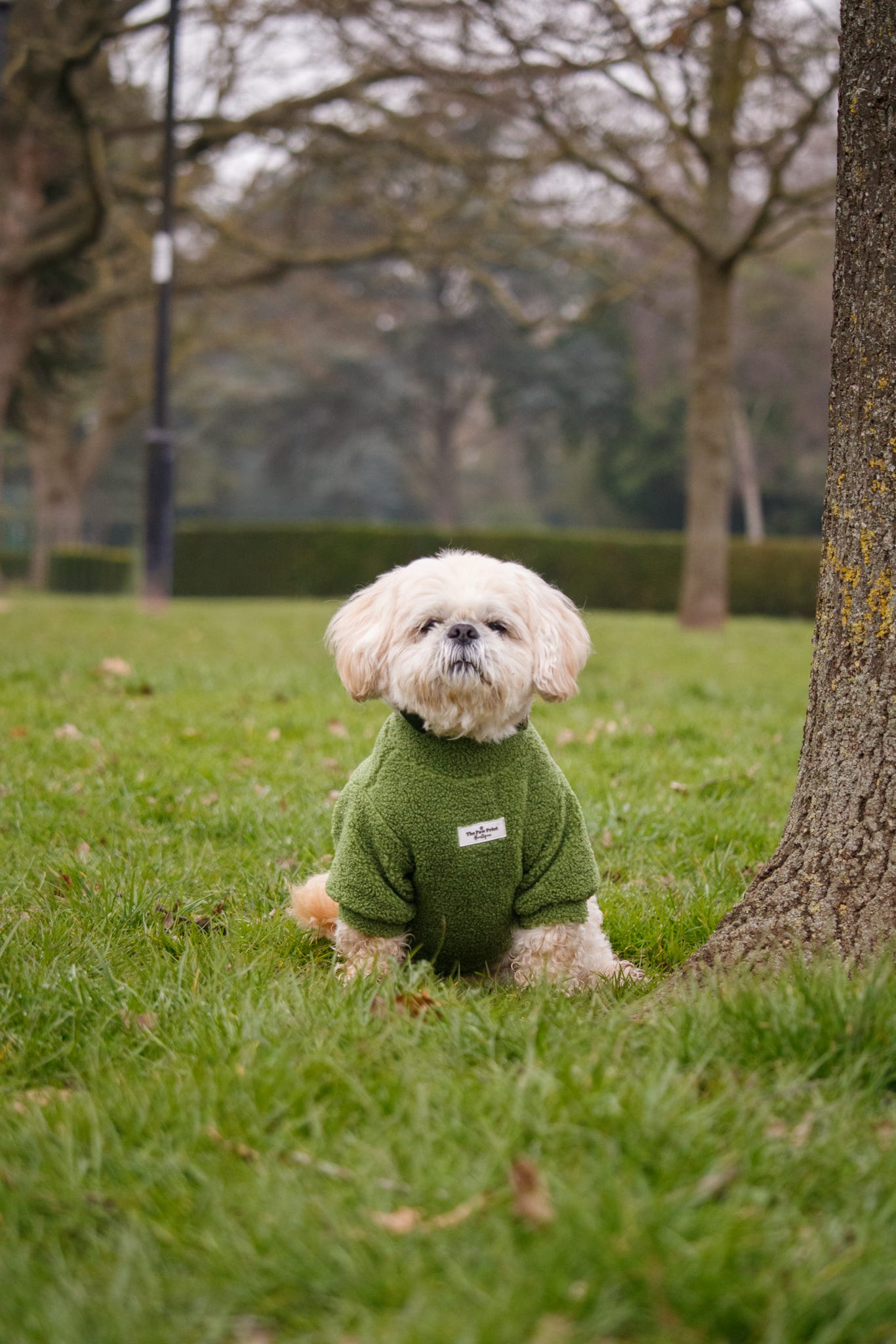 Teddy Fleece - Meadow