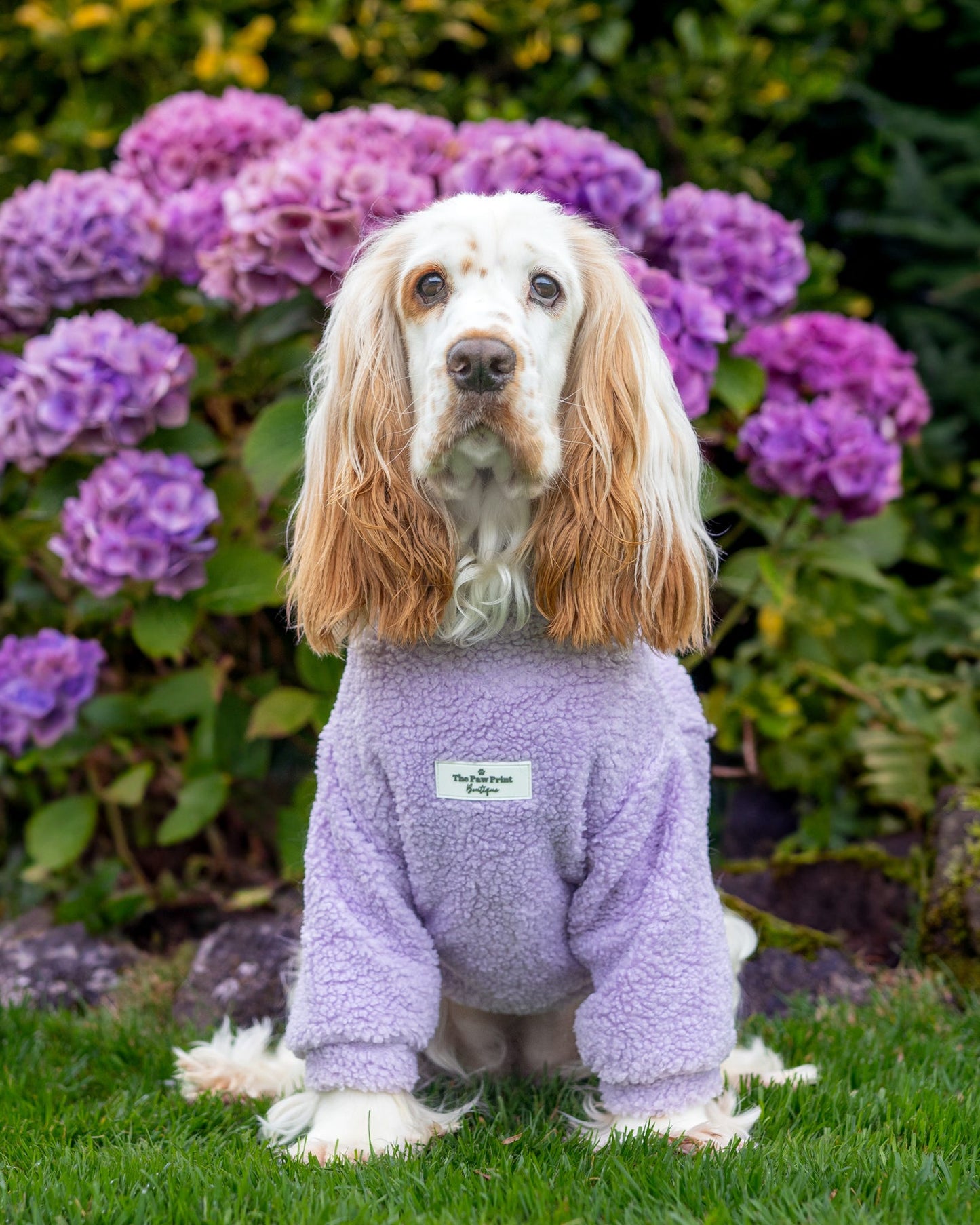 Teddy Fleece - Lilac