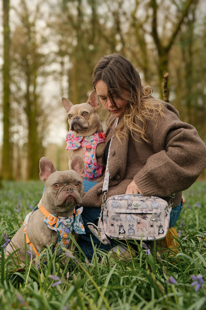 The French Bulldog Dog Walking Bag