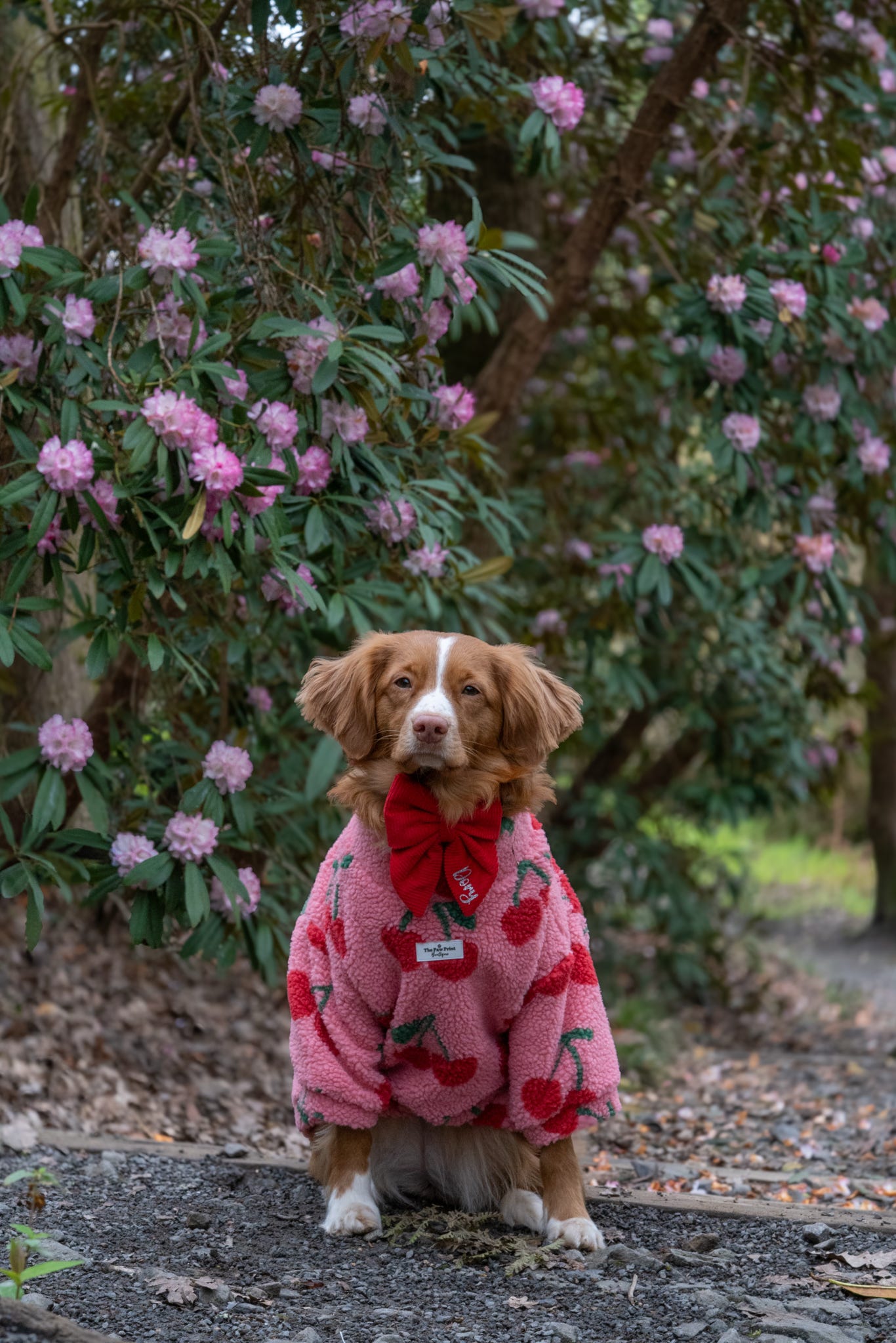 The Cherry Fleece