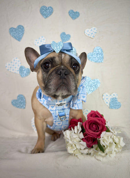 Blue Chequered Hearts Adventure Paws Harness