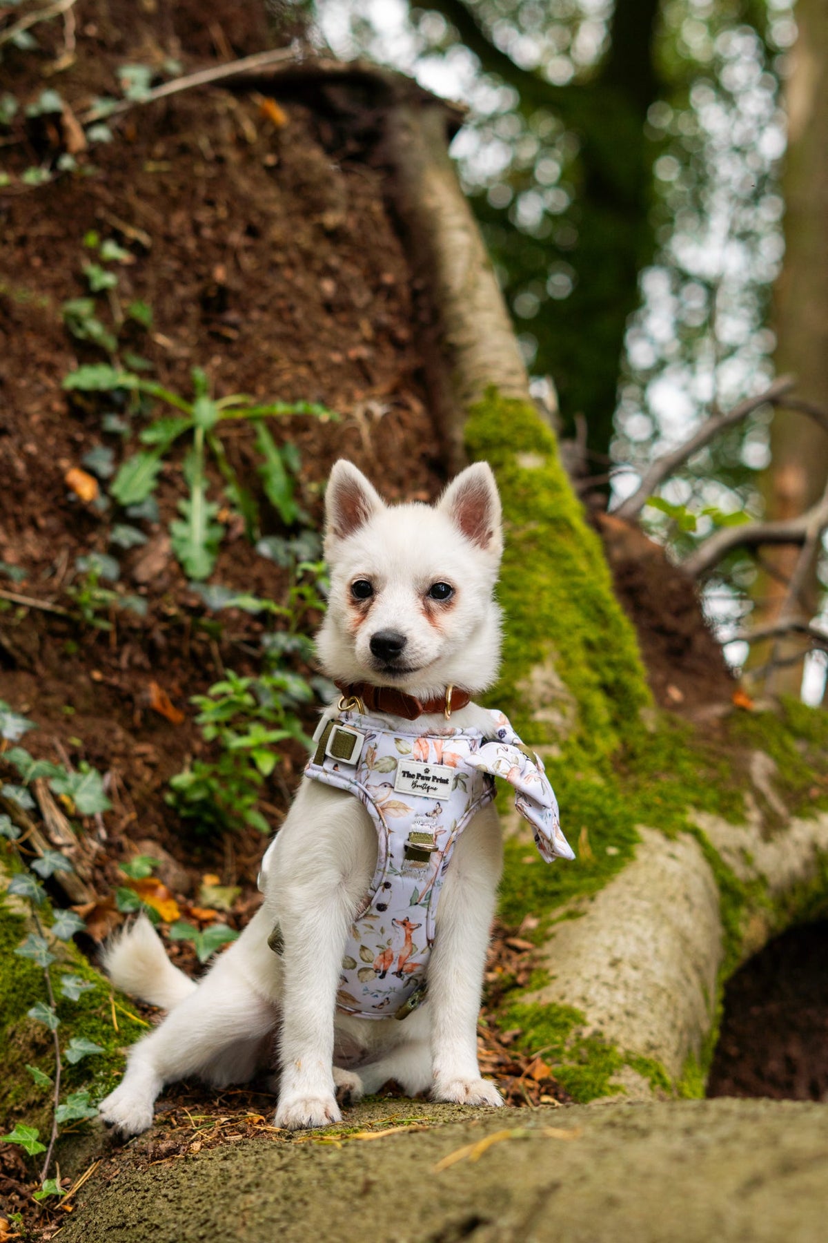 Whimsical Wildlife Adventure Paws Harness