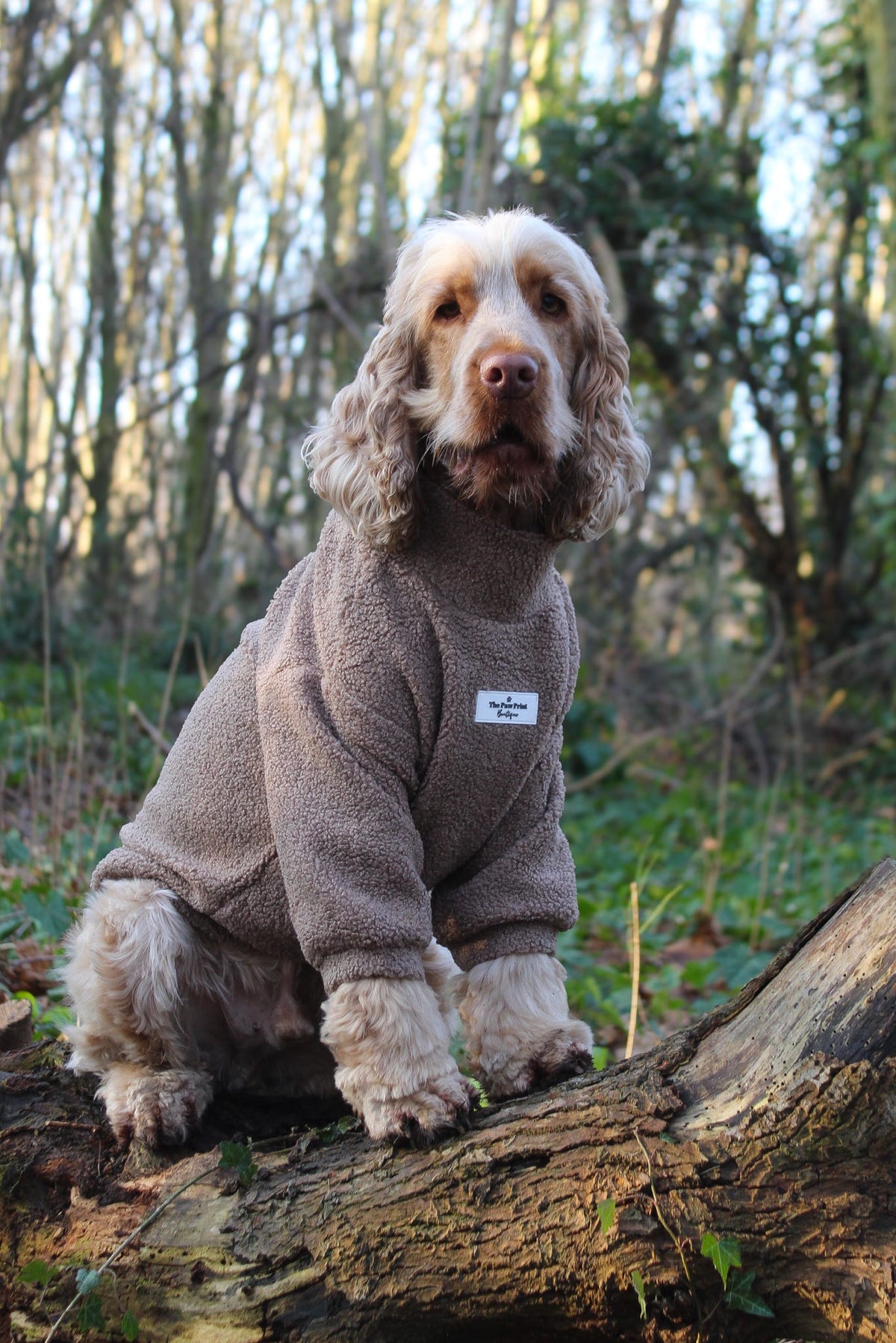 Teddy Fleece - Mocha