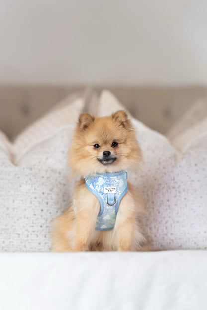 The Sassy in Sequins - Baby Blue Adjustable Harness