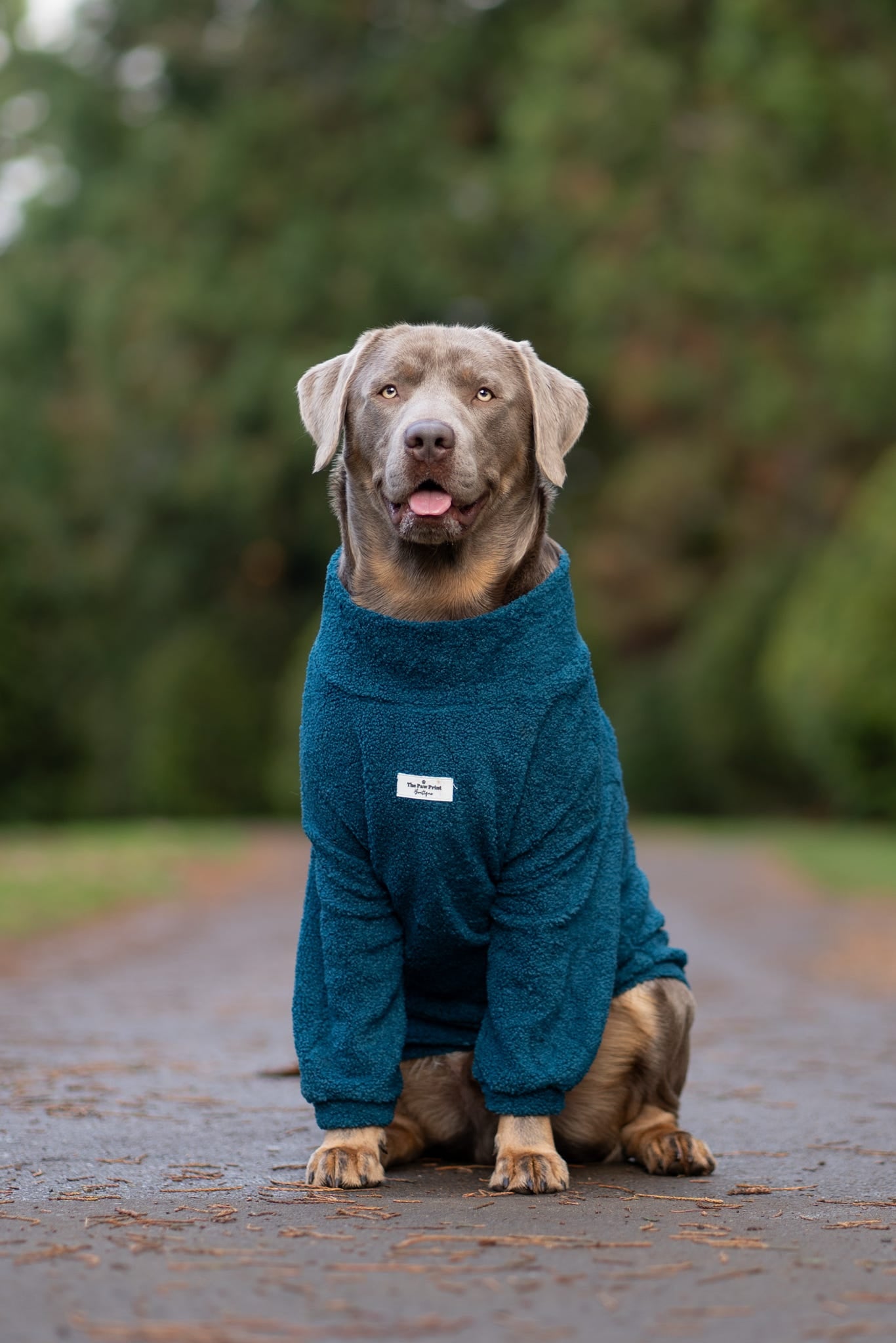 Teddy Fleece - Teal