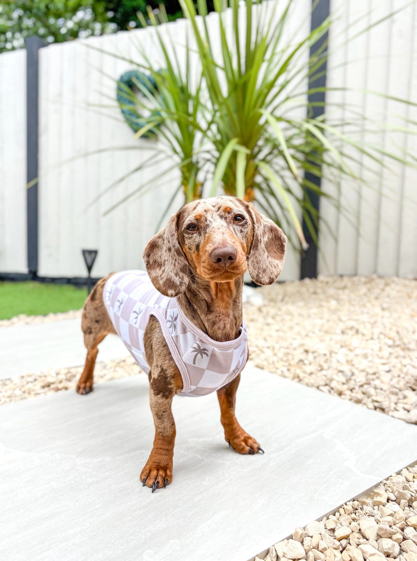 Palm Springs Cooling Vest