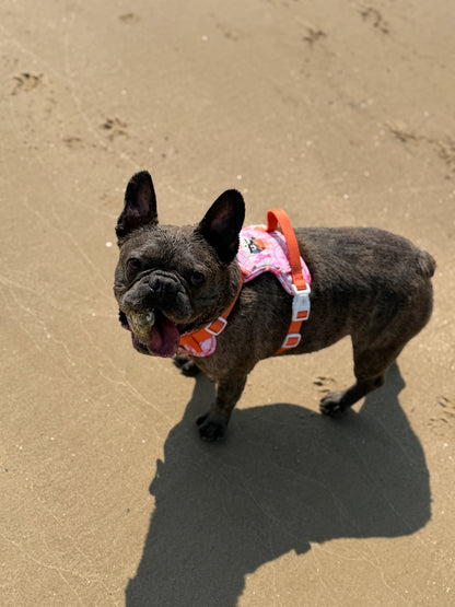 Under the Sea Adventure Paws Harness