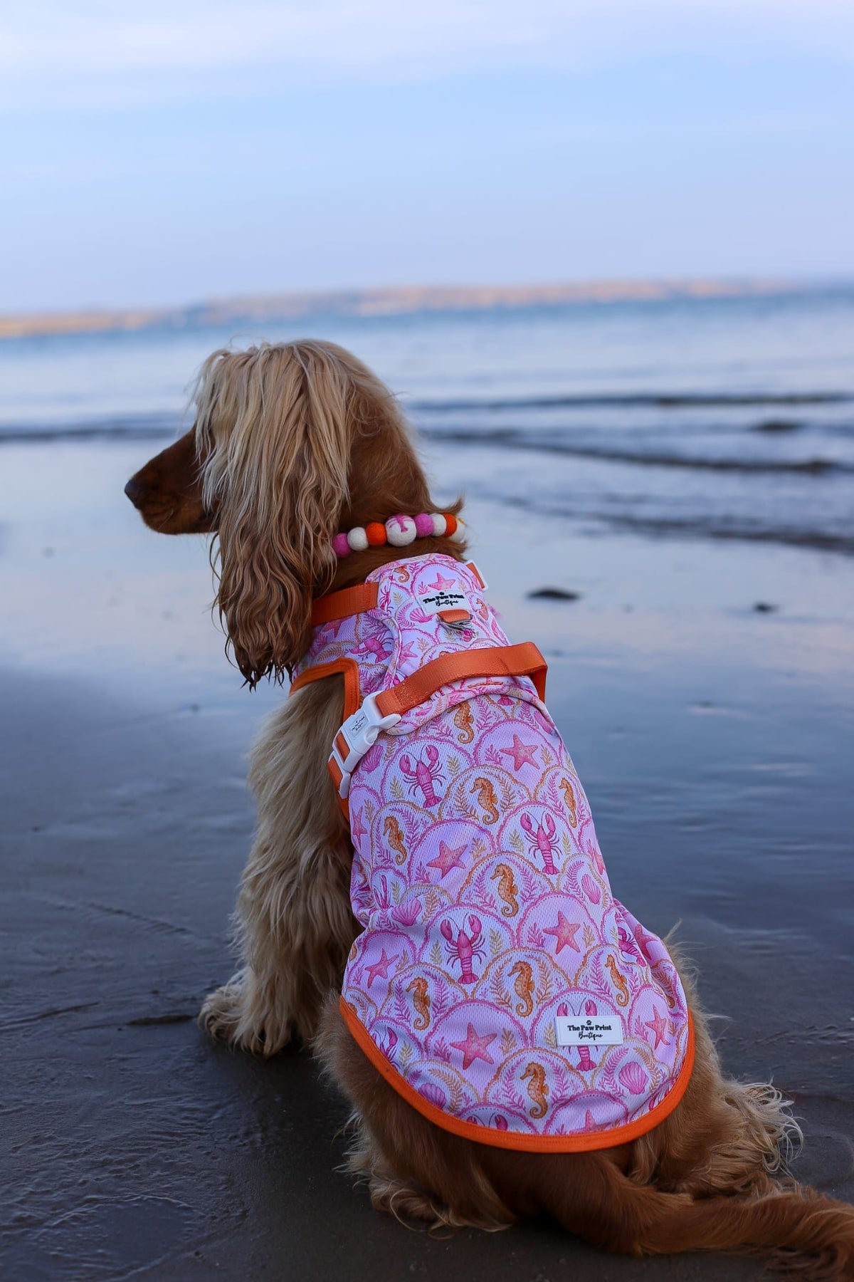 Under the Sea Adventure Paws Harness