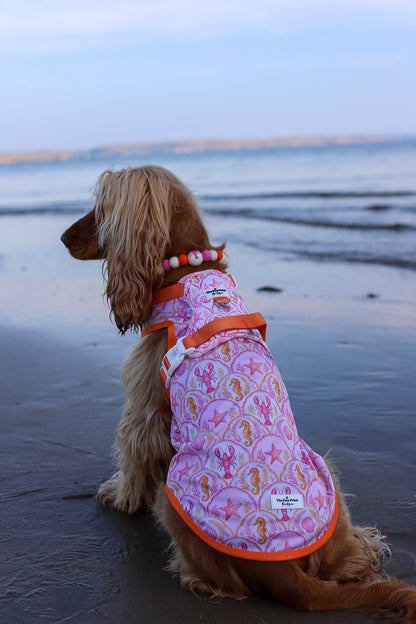 Under the Sea Adventure Paws Harness