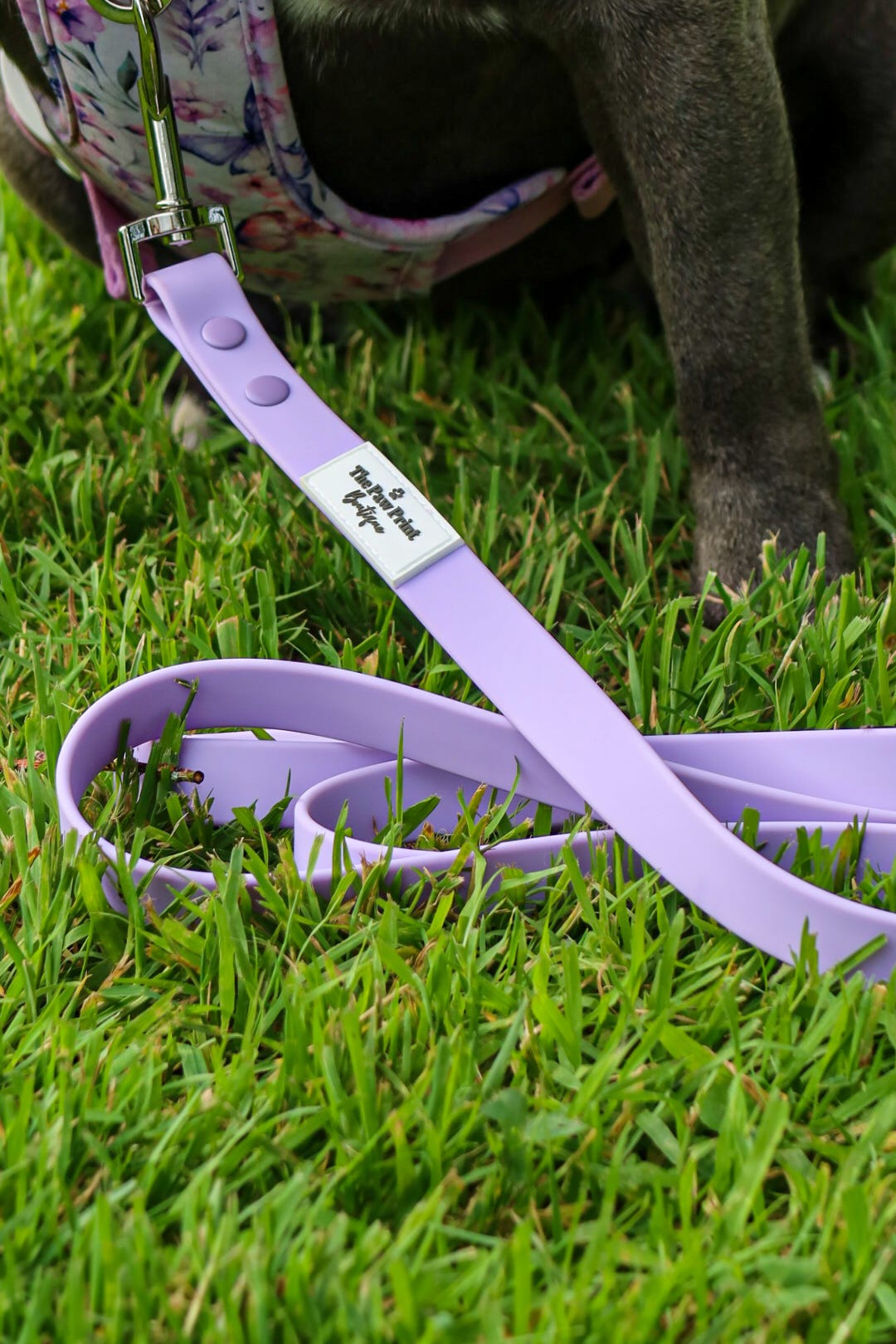 Waterproof Lead - Lavender