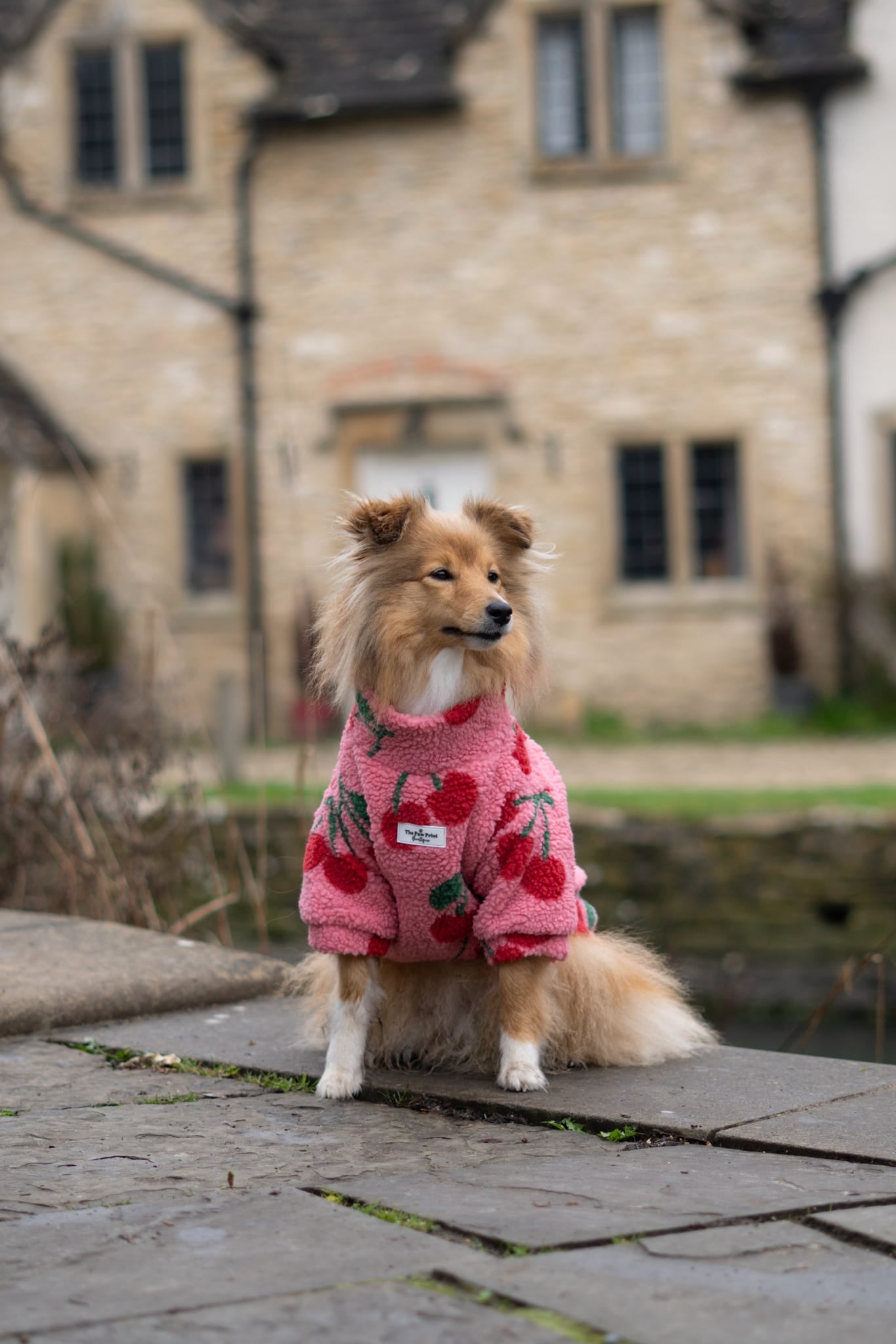 The Cherry Fleece
