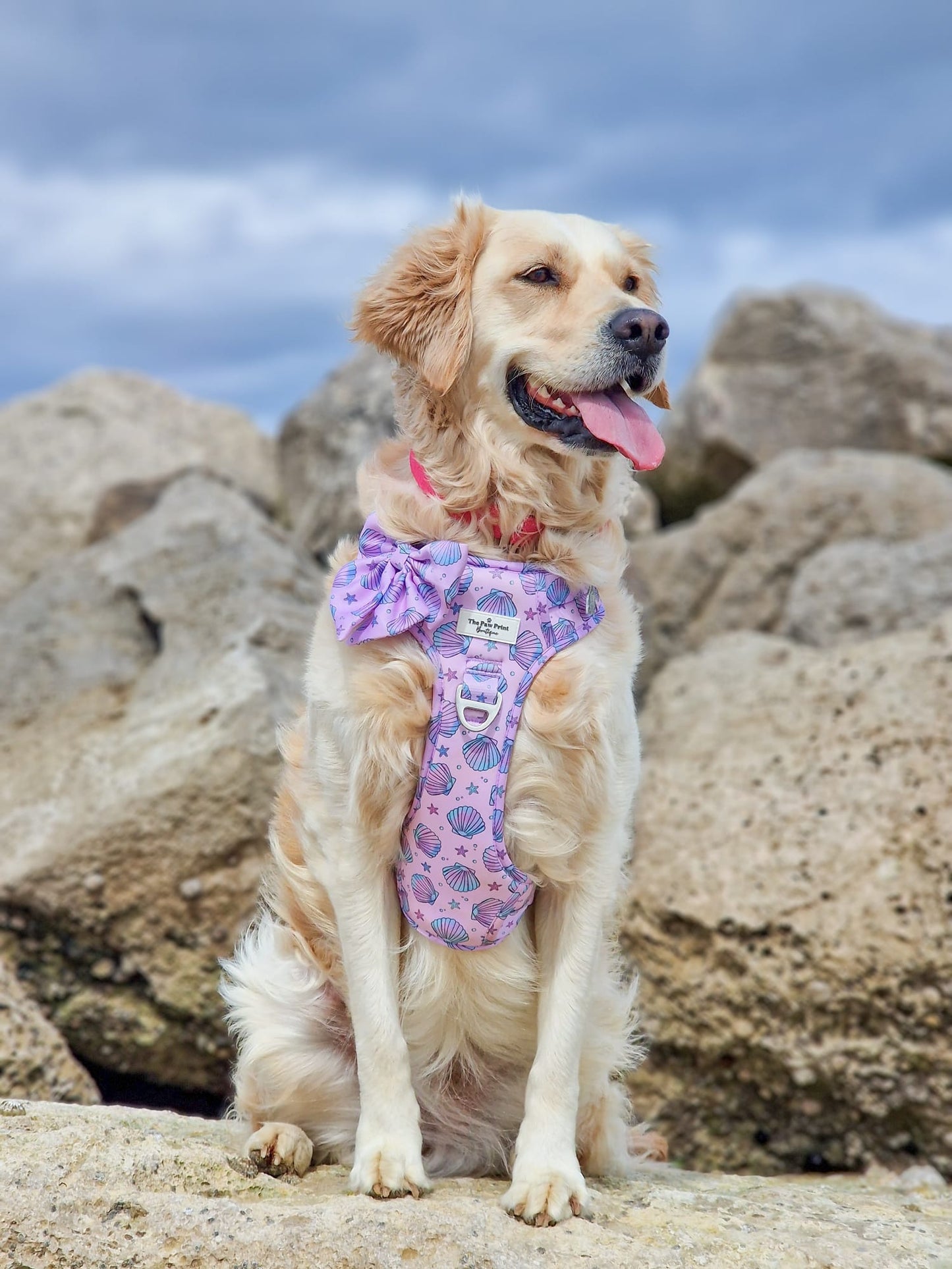 Mermaids Tails Adventure Paws Harness