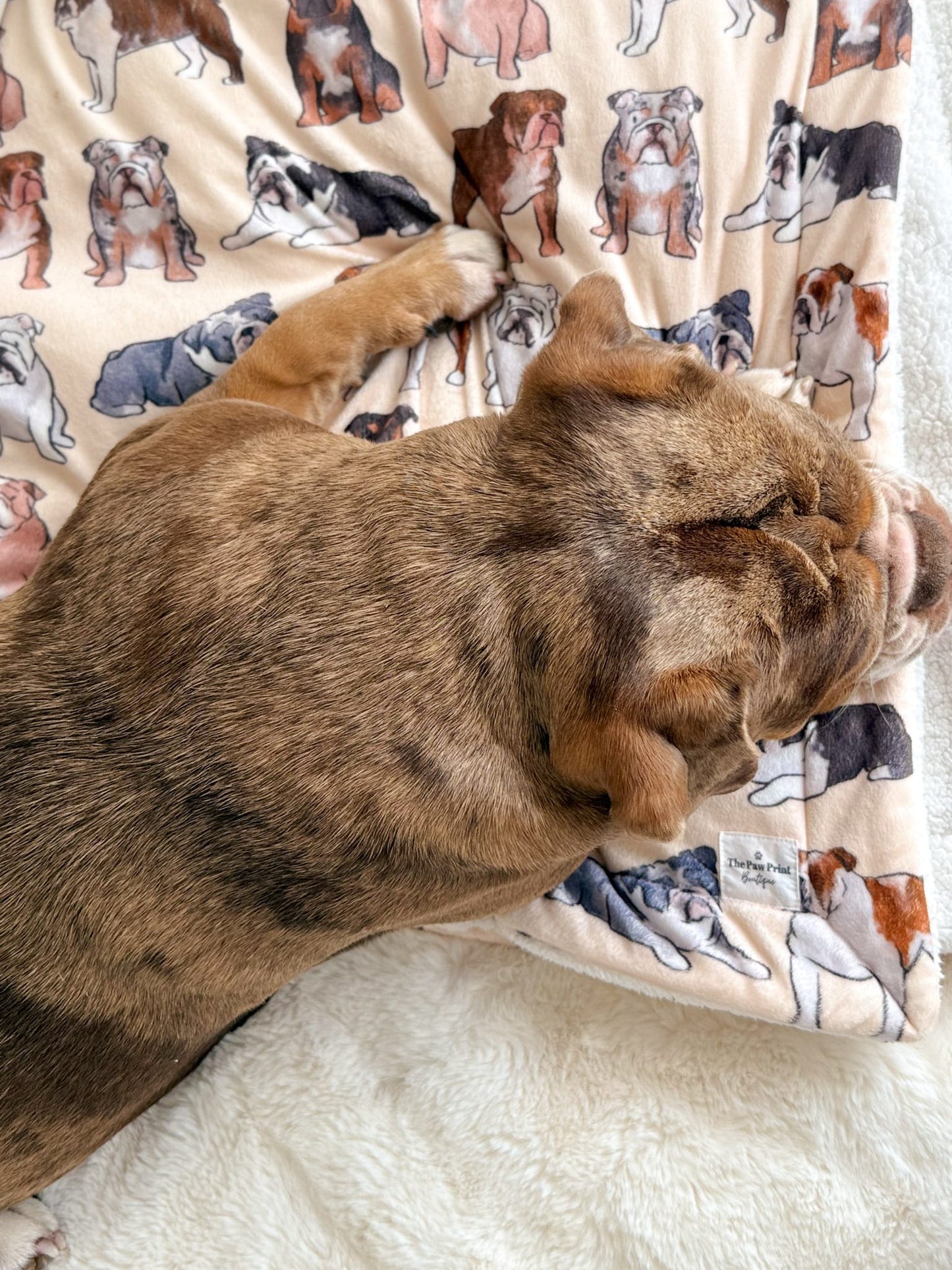Bulldog Dog Blanket