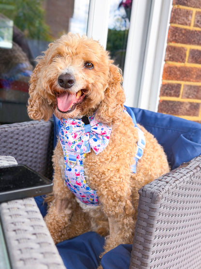 Santorini Seagulls Adventure Paws Harness