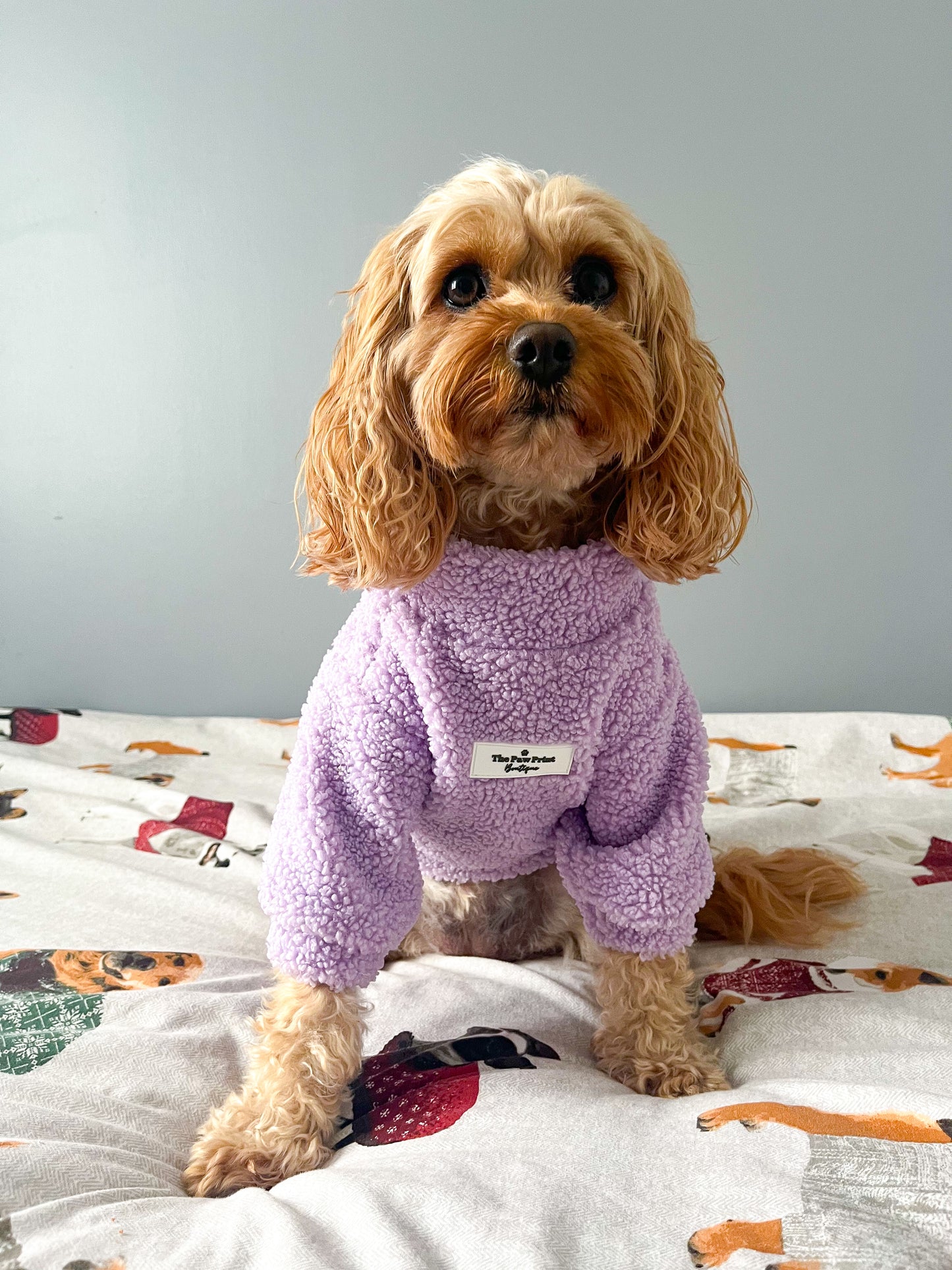 Teddy Fleece - Lilac