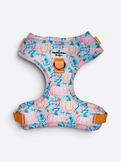 Pablo’s Pumpkins Adjustable Harness