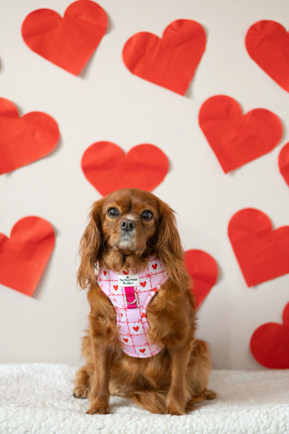 Pink Chequered Hearts Adjustable Harness