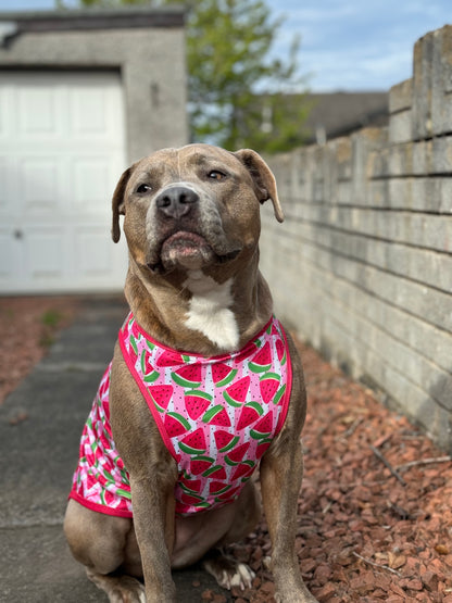 Watermelon Sugar Cooling Vest