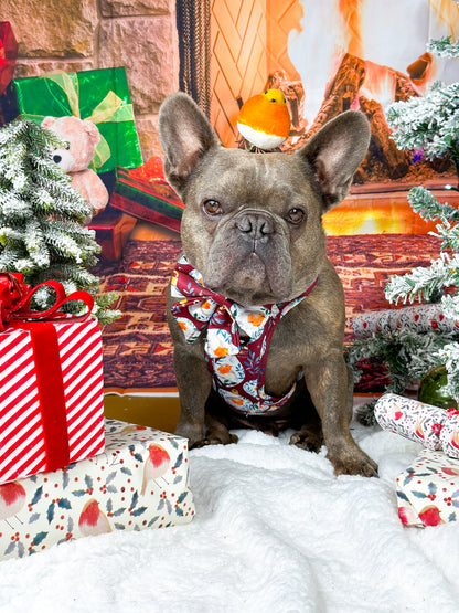 The Rockin' Robins Adventure Paws Harness