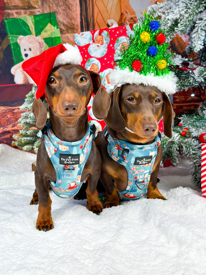 The Sleighing Santa Adventure Paws Harness