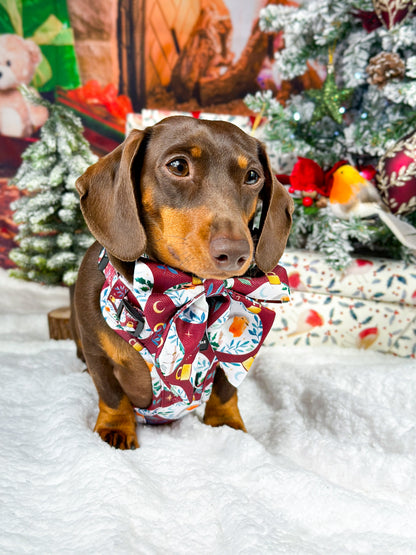 The Rockin' Robins Adventure Paws Harness