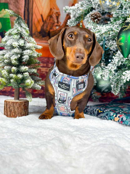 The Santas Stamps Adventure Paws Harness