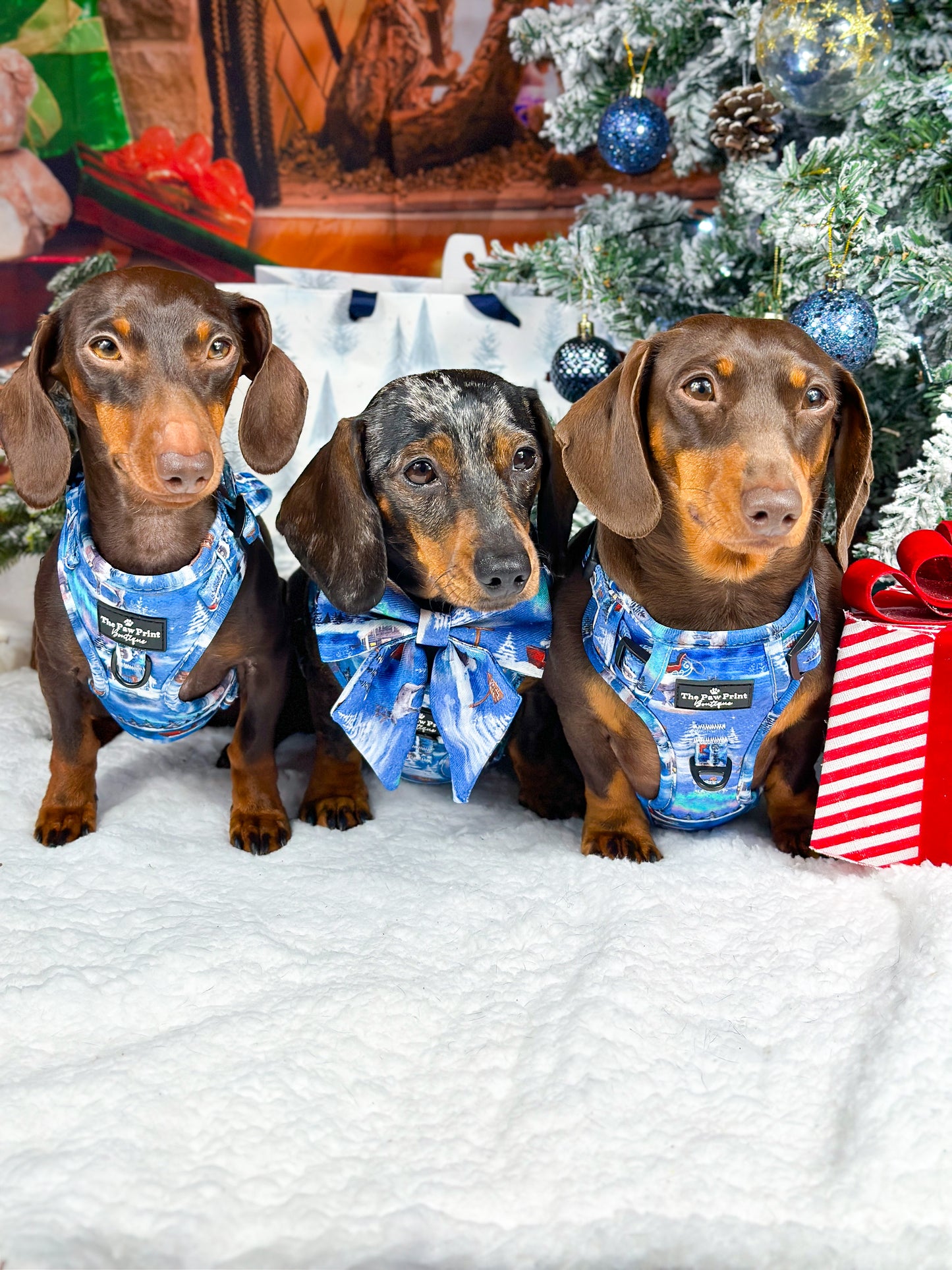 The North Pole Adjustable Harness