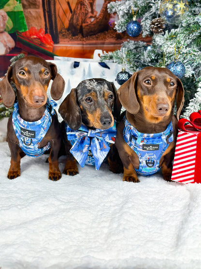 The North Pole Adjustable Harness