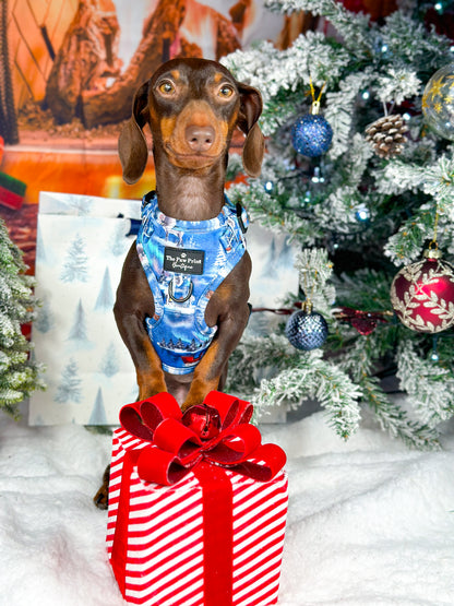 The North Pole Adjustable Harness