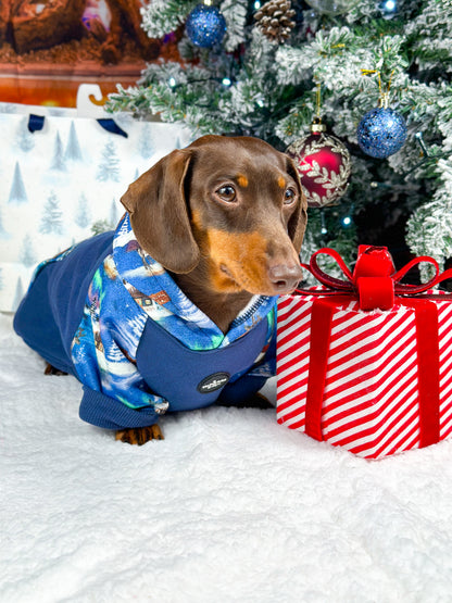 The North Pole Dog Hoodie