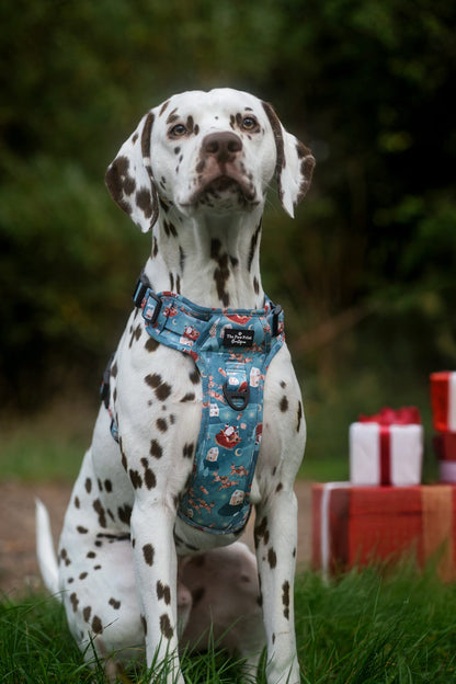The Sleighing Santa Adventure Paws Harness