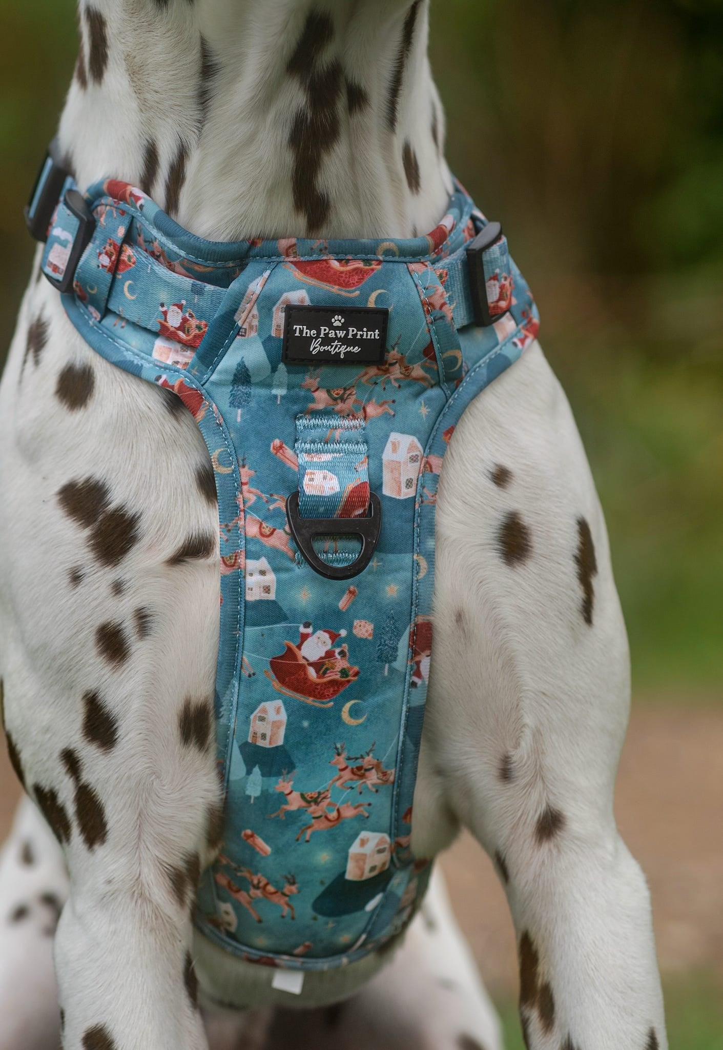 The Sleighing Santa Adventure Paws Harness