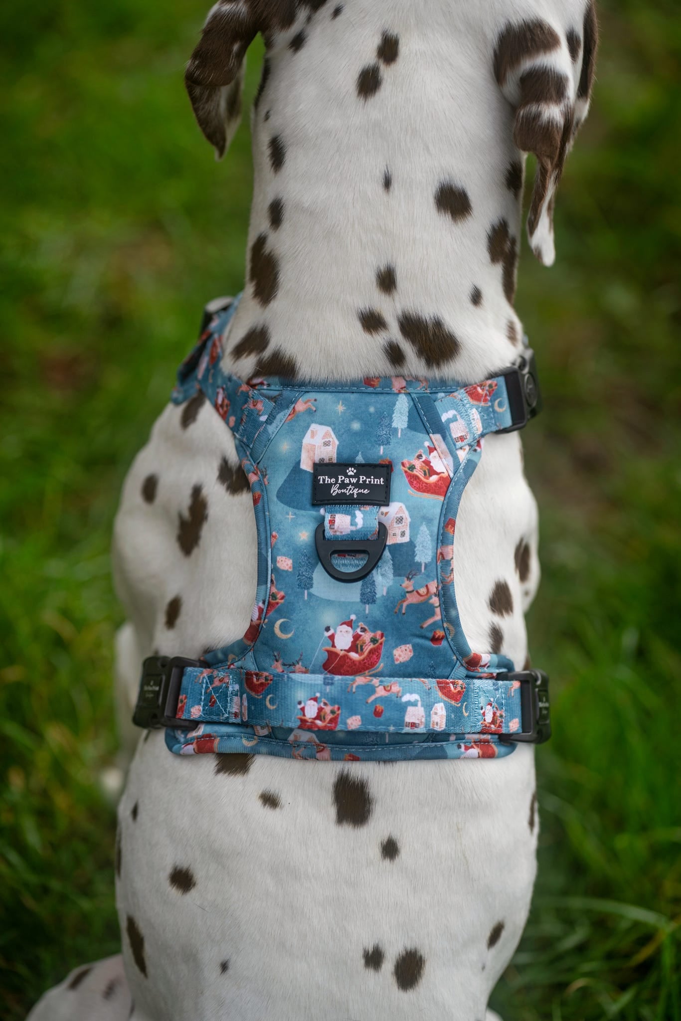 The Sleighing Santa Adventure Paws Harness