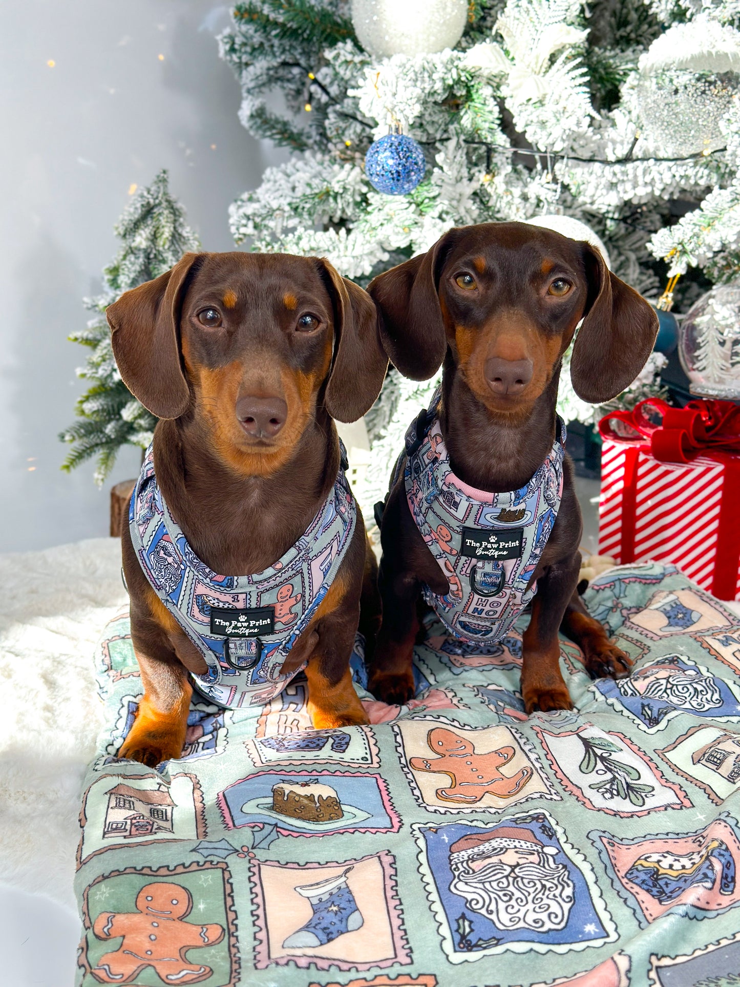 The Santas Stamps Adjustable Harness