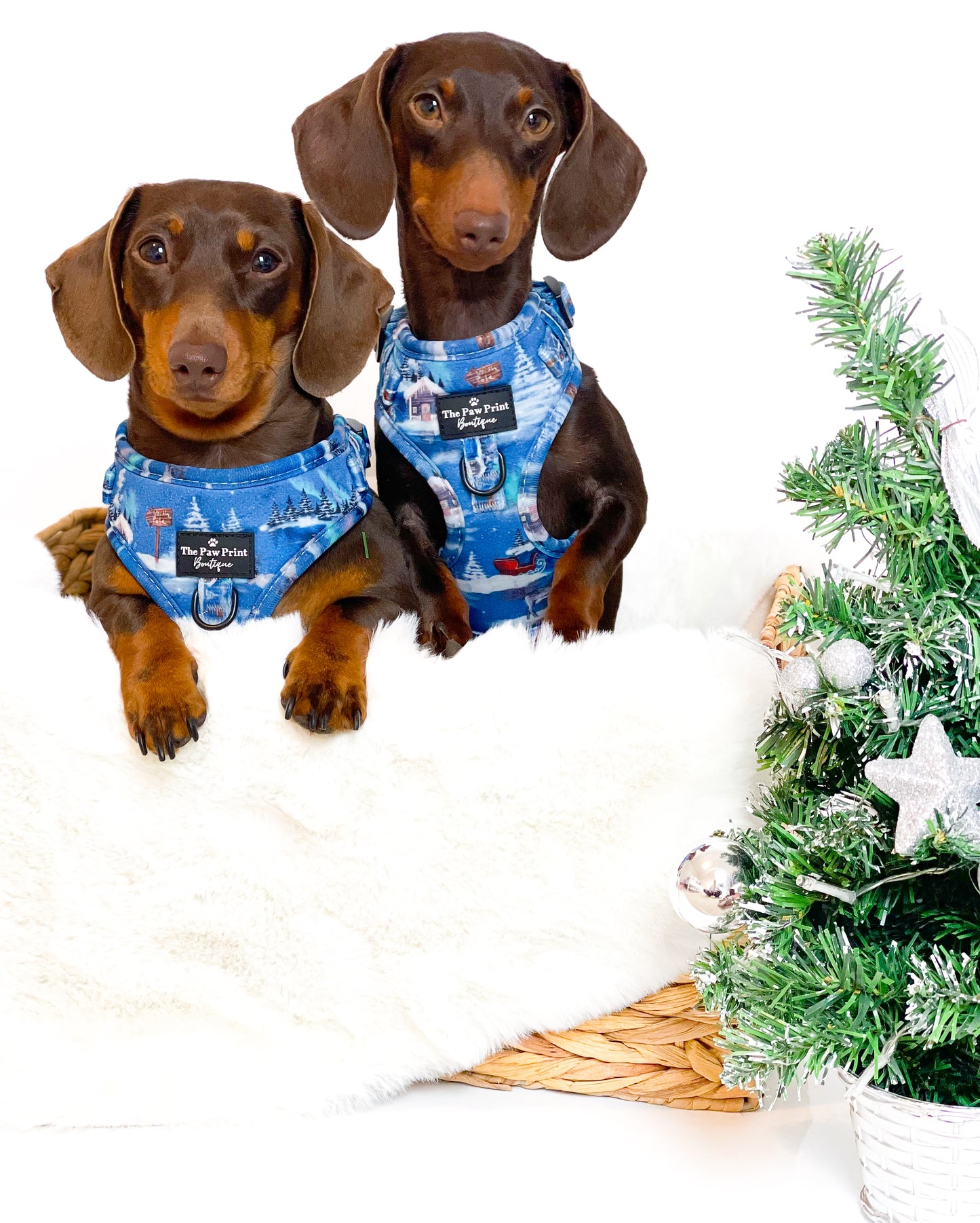 The North Pole Adjustable Harness