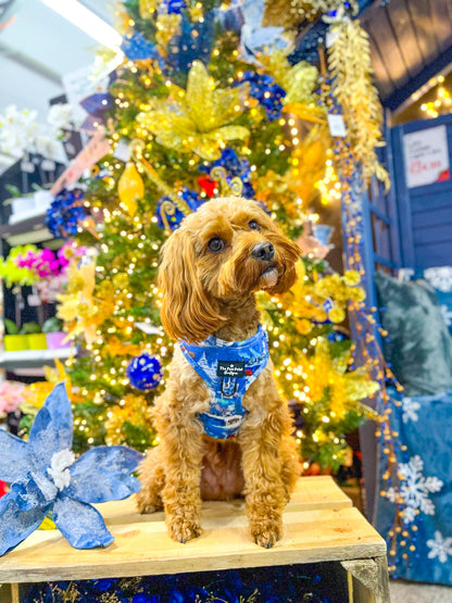 The North Pole Adjustable Harness
