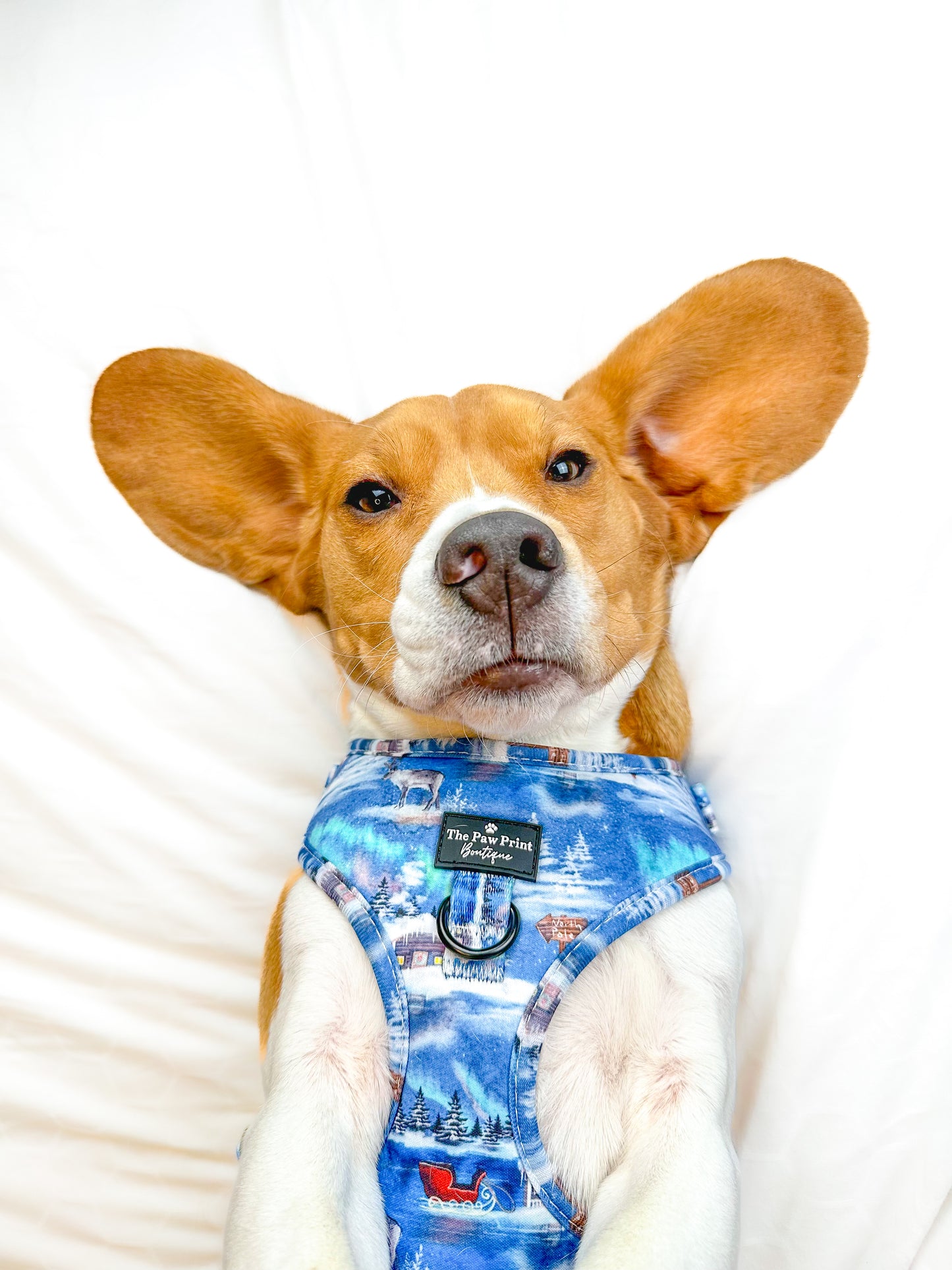 The North Pole Adjustable Harness