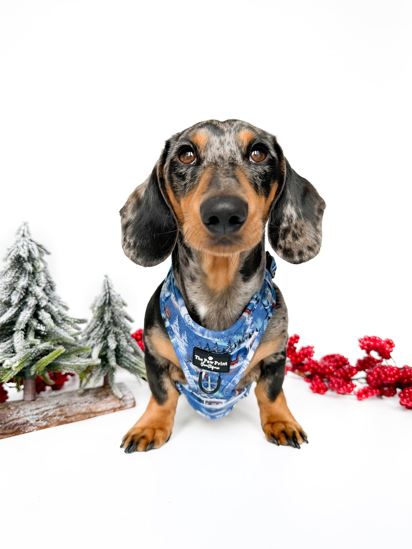 The North Pole Adjustable Harness